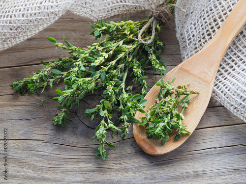 Sprigs of the medicinal plant polygonum hydropiper on a wooden table, flat layout, top view. Useful herba polygoni avicularis for use in alternative medicine, homeopathy, food and cosmetology photo