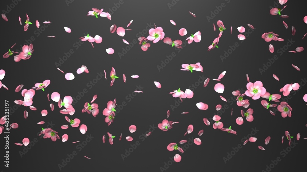 Cherry blossoms on black background. 3D illustration for background