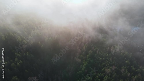 Autumn Forest Aerial Top Down Sunrise View Zoom. Drone flies high over clouds.