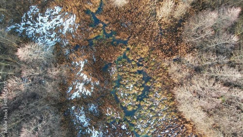 Autumn Forest Aerial Top Down Sunrise View Zoom. Drone flies high over clouds.