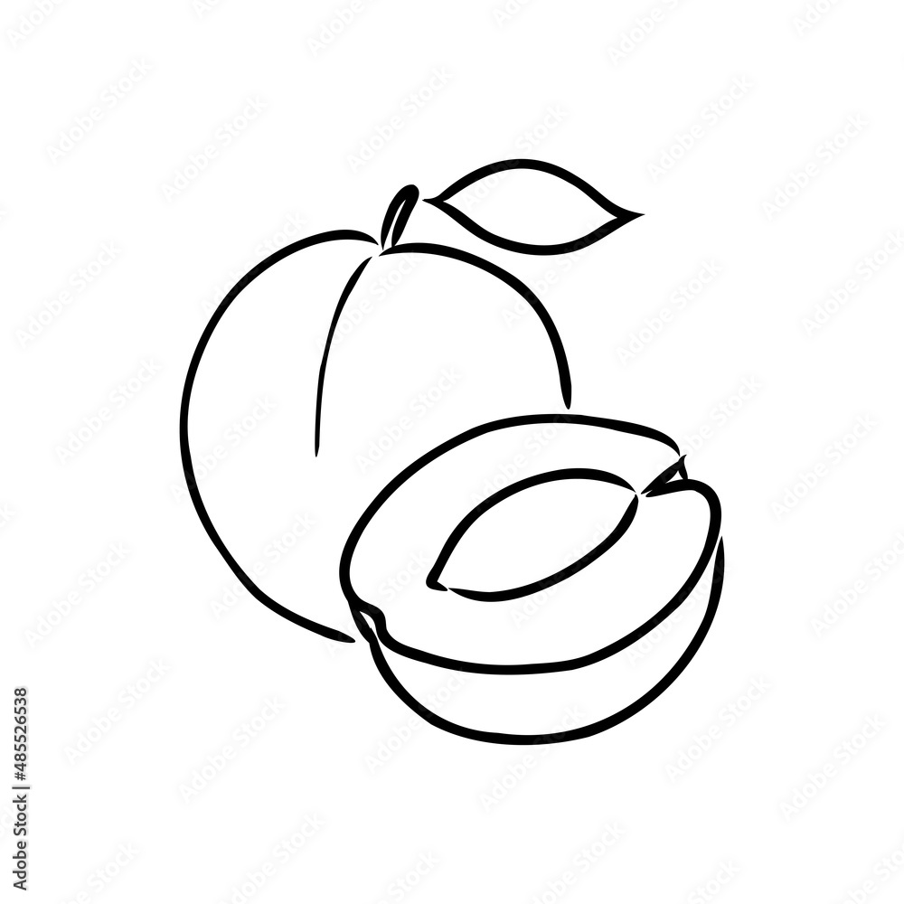 apricot vector logo design template. fruit or food icon. apricot vector logo design template. fruit or food icon.