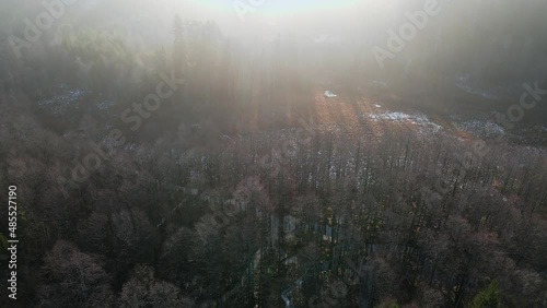Autumn Forest Aerial Top Down Sunrise View Zoom. Drone flies high over clouds.