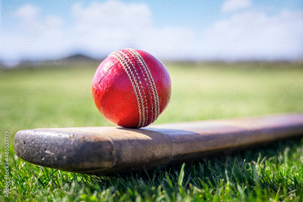 Cricket ball on top of cricket bat on green grass of cricket ground  background Stock-Foto | Adobe Stock