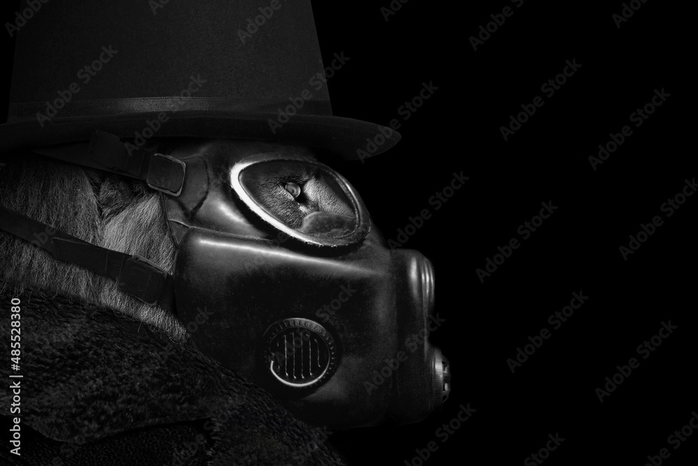 Lion wearing a gas mask , Man in the form of Lion , animal face isolated black white , Abstract