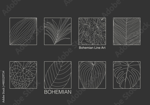 Minimalist botanical line art plant with leaves abstract collage
