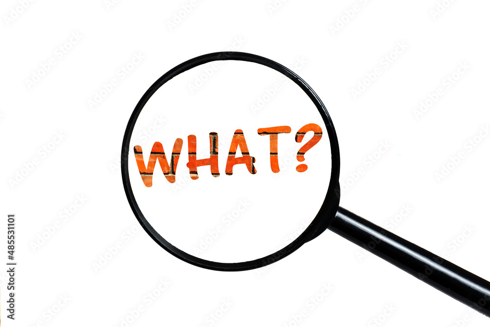 word what and magnifying glass word what and magnifying glass