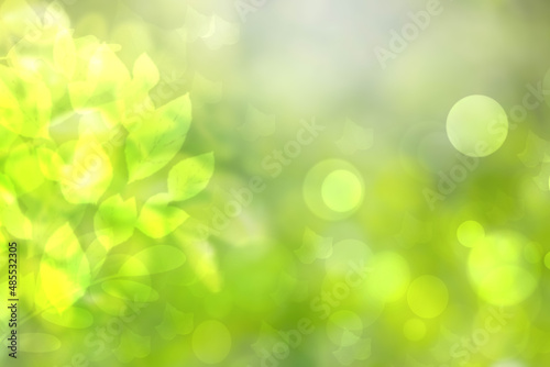 Abstract gradient green light and yellow colorful pastel spring or summer bokeh background with leaves and circular lights. Beautiful texture.