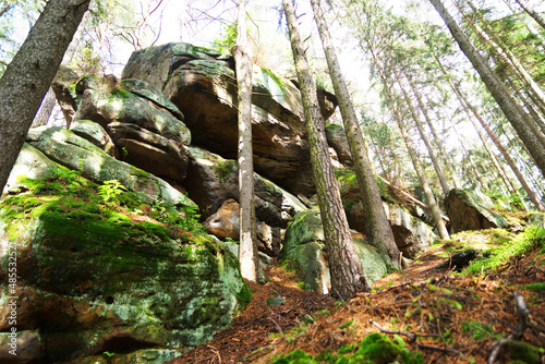 Góry stołowe -skały w lesie