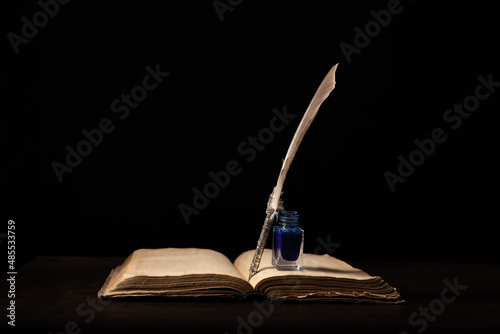 Quill pen and inkwell resting on an old book concept for literature, writing, author and history
