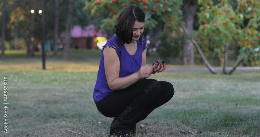 A beautiful and stylish brunette woman collects cones in her hand in an evening city park. A walk around the city on a weekend. Great mood and good summer weather. A beautiful and stylish brunette woman collects cones in her hand in an evening city park. A walk around the city on a weekend. Great mood and good summer weather.