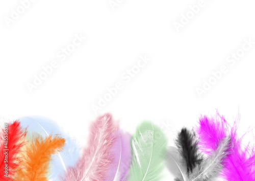 Colorful collections on white background