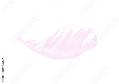 coral pink feather isolated on white background