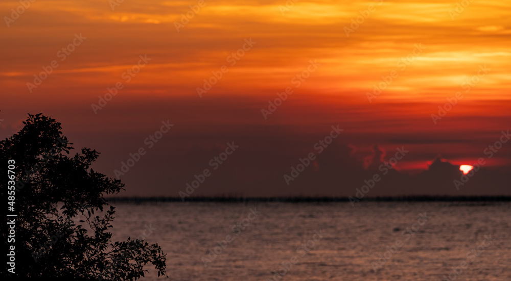 Silhouette tree on blur background of red and orange sunset sky over the tropical sea. Red sunset sky. Skyline at the sea. Tropical sea in summer. Scenic view of sunset sky. Calm ocean. Seascape.