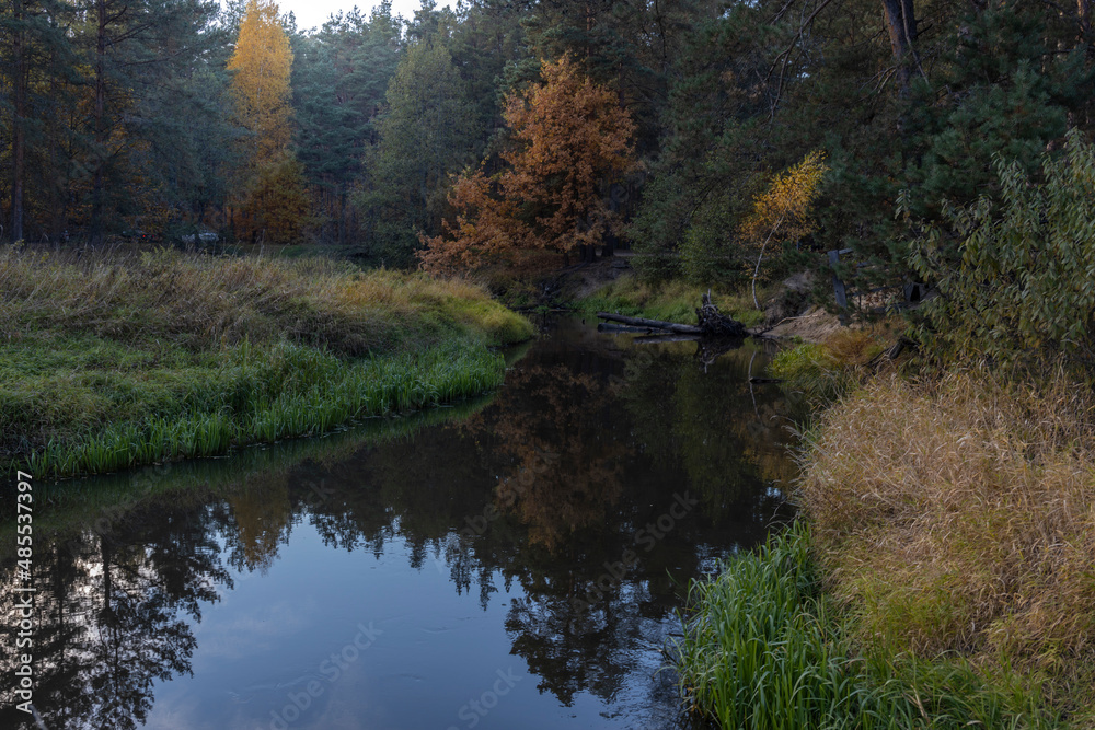 Landscape with a small river in the autumn forest. A river in a fairy forest with bright and rich colors. autumn colors in a dark forest. Landscape with a small river in the autumn forest. A river in a fairy forest with bright and rich colors. autumn colors in a dark forest.