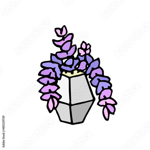 Succulent plants in grey pot. Hand drawn doodle succulents icon, logo. Isolated houseplants in concrete flowerpot. Vector illustration for poster, banner.