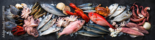 Фотография Assortment of fresh fish and seafood
