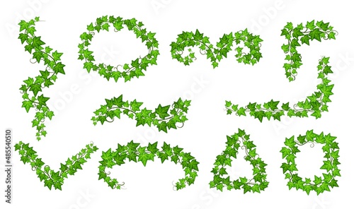 Isolated green ivy. Wall vines plants, creepers branches with leaves. Garden natural decorations. Floral frames, corners for decor, cards and invitation. Exact vector set
