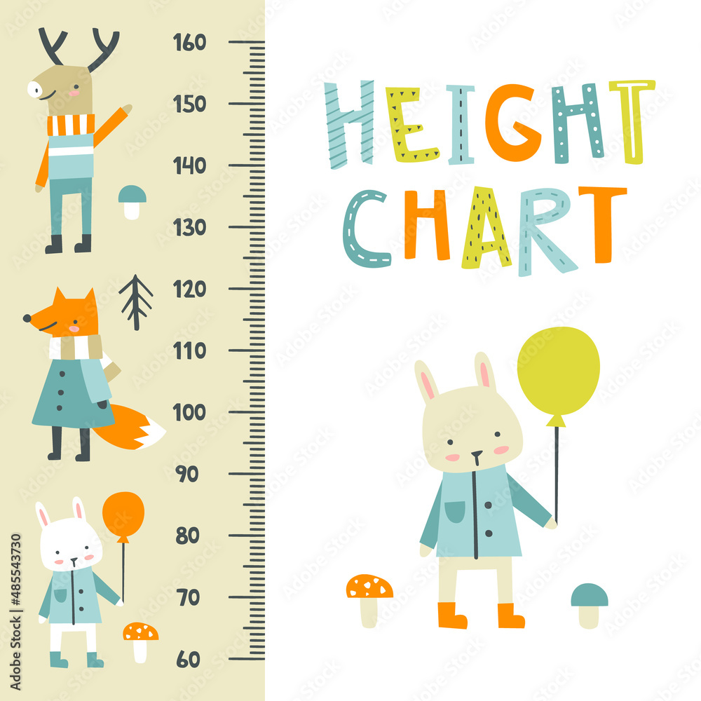 Baby store height scale