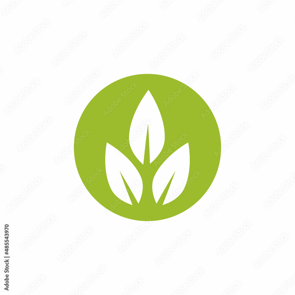 Leaf icon Vector Illustration design Logo template Leaf icon Vector Illustration design Logo template