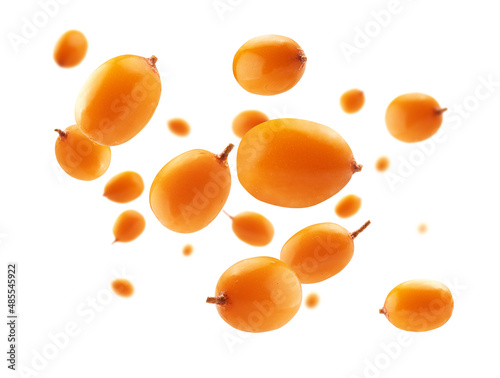 Sea buckthorn berries levitate on a white background