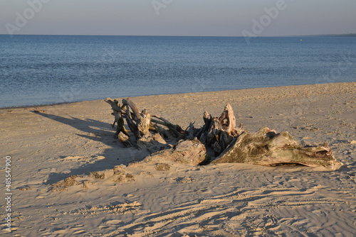 Morze Bałtyckie plaża