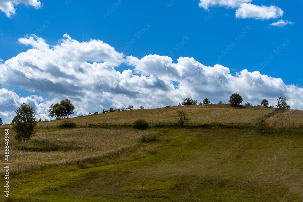 Mountain meadows with blue sky and green garss