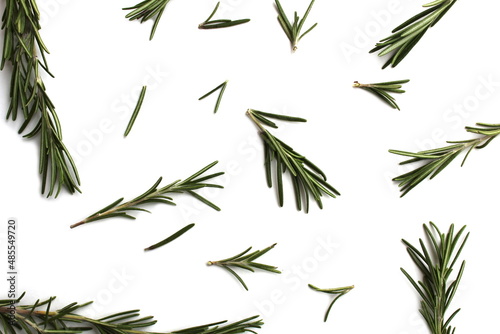 Many different branches of rosemary are scattered on a white background. Seasoning texture.