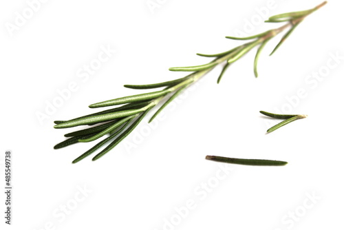 One sprig of rosemary lies on a white isolated background. © Снежана Кудрявцева