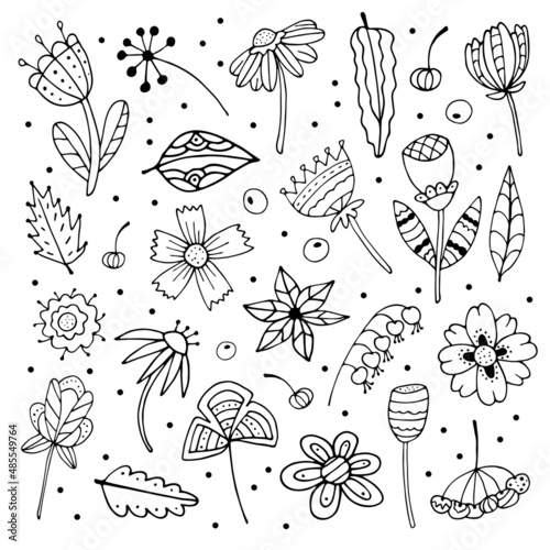 Abstract doodle flowers and leaves collection. Hand drawn vector contour of fancy botanical elements.