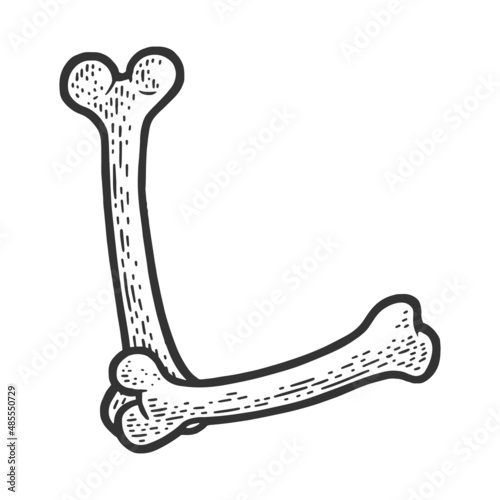 letter L made of bones sketch engraving vector illustration. Bones font. T-shirt apparel print design. Scratch board imitation. Black and white hand drawn image.