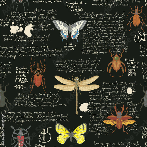 Seamless pattern with handwritten text Lorem Ipsum and various insects. Colored hand-drawn butterflies, beetles, dragonfly on a black. Vector background, wallpaper, wrapping paper or fabric design