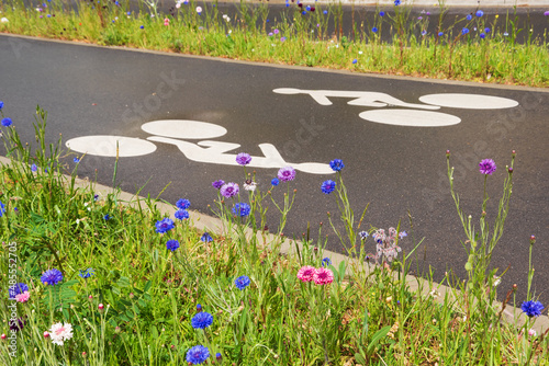 Εκτύπωση καμβά Bicycle lane bordered by wildflowers