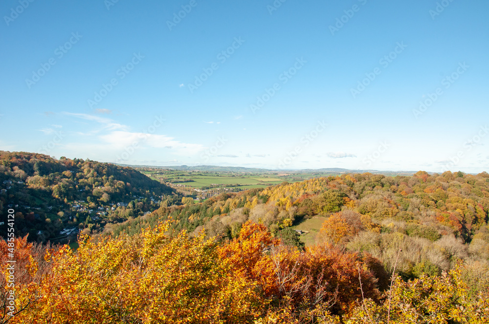 Autumn scenery around Symonds Yat in the UK countryside.