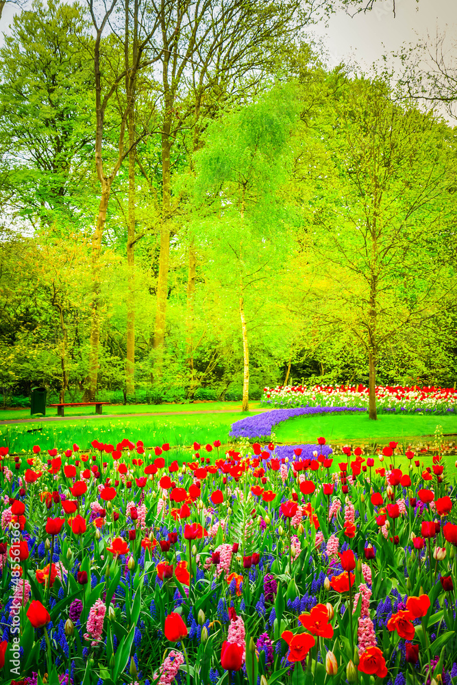 fresh lawn with flowers