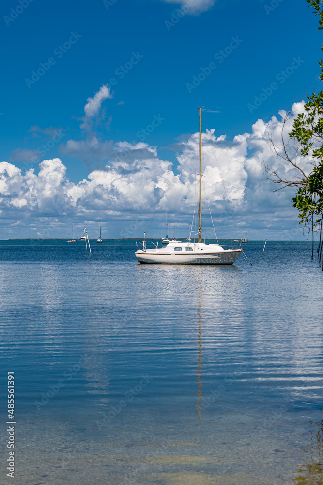 Obraz premium CREATIVE