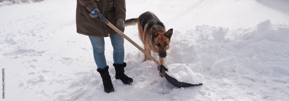 Snow removal in winter. A woman cleans the snow with a shovel in the local area. Woman clearing snow from her front yard. Snow removal in winter. A woman cleans the snow with a shovel in the local area. Woman clearing snow from her front yard.
