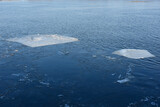 Ice floes float on the surface of the sea or river. Ice drift. Global warming, climate change. Environmental concept.