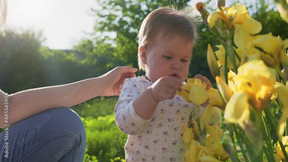 Children's autism. A mother embraces her young daughter, who tears off a yellow iris petal and hands it to the person behind the scenes. Slow motion. Close up. Summer park in the background. Children's autism. A mother embraces her young daughter, who tears off a yellow iris petal and hands it to the person behind the scenes. Slow motion. Close up. Summer park in the background.