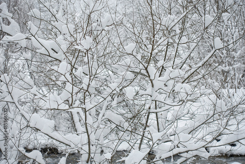 Winter Wonderland in Central Europe