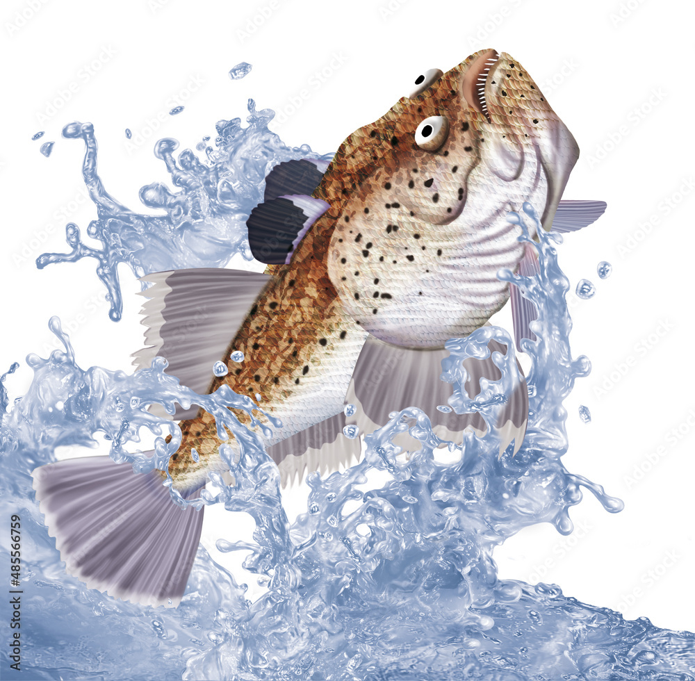 poisson , uranoscope , perche, pêche, animal, isolé, aliment, giclée,