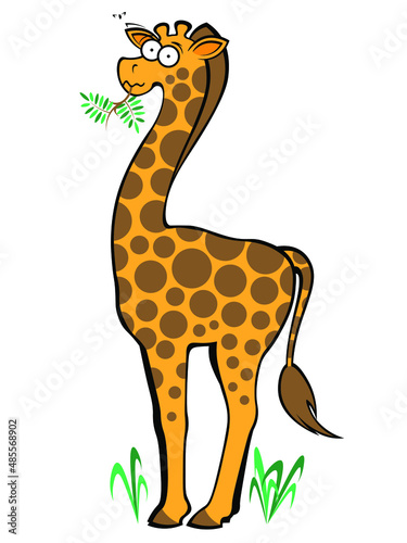 Cute cartoon giraffe chewing on acacia branch