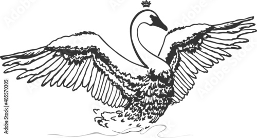 Swan icon vector from fairytale collection. Thin line swan outline icon vector illustration.