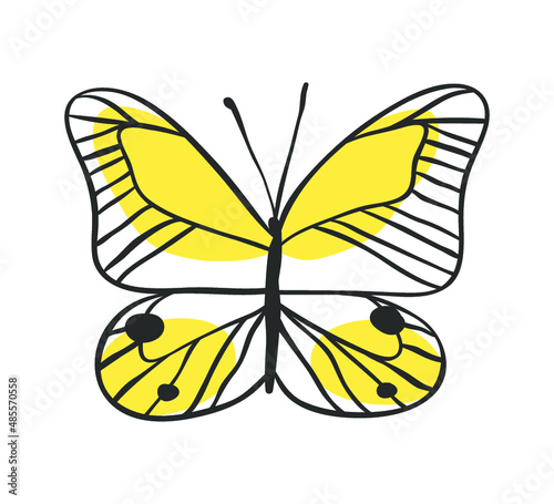 Isolated butterfly. Hand drawn vector illustration. Decorative elements for design. Black contour drawing. Creative ink art work