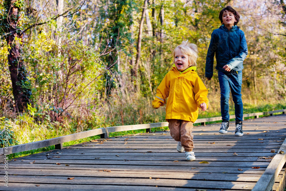 Fototapeta premium Happy siblings playing catch-up in autumn park