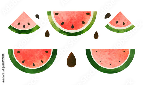 watermelon  slices vector isolated illustration set