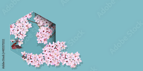 Vector illustration design banner of cherry blossoms. copy space, 3D, invitation card, greeting card, celebration, website, sign, poster, flyer, background, vintage blue, pink, graphic