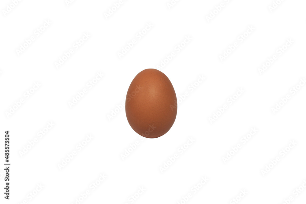 isolated chicken eggs on a white background isolated chicken eggs on a white background