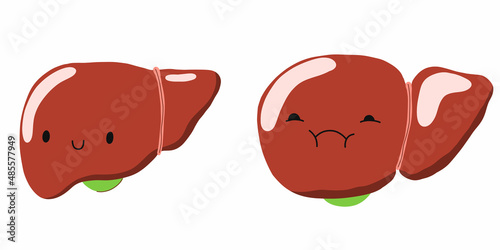 Liver disease. Cirrhosis. Sick and healthy liver character. Hepatomegaly and enlarged organs. Stock vector cartoon illustration on a white background.