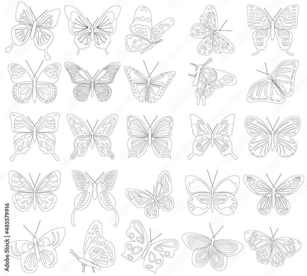 butterfly sketch, butterfly outline set