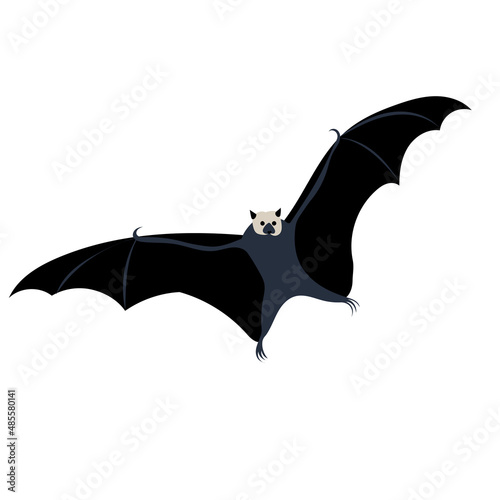 bat flat design on white background